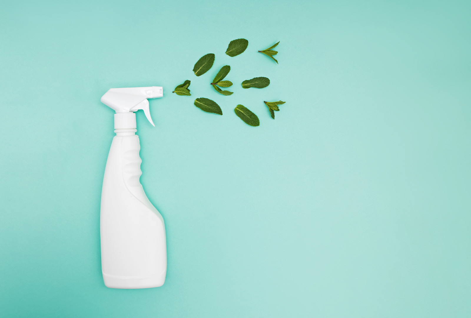 the-benefits-of-using-chemical-free-cleaning-products-in-the-workplace