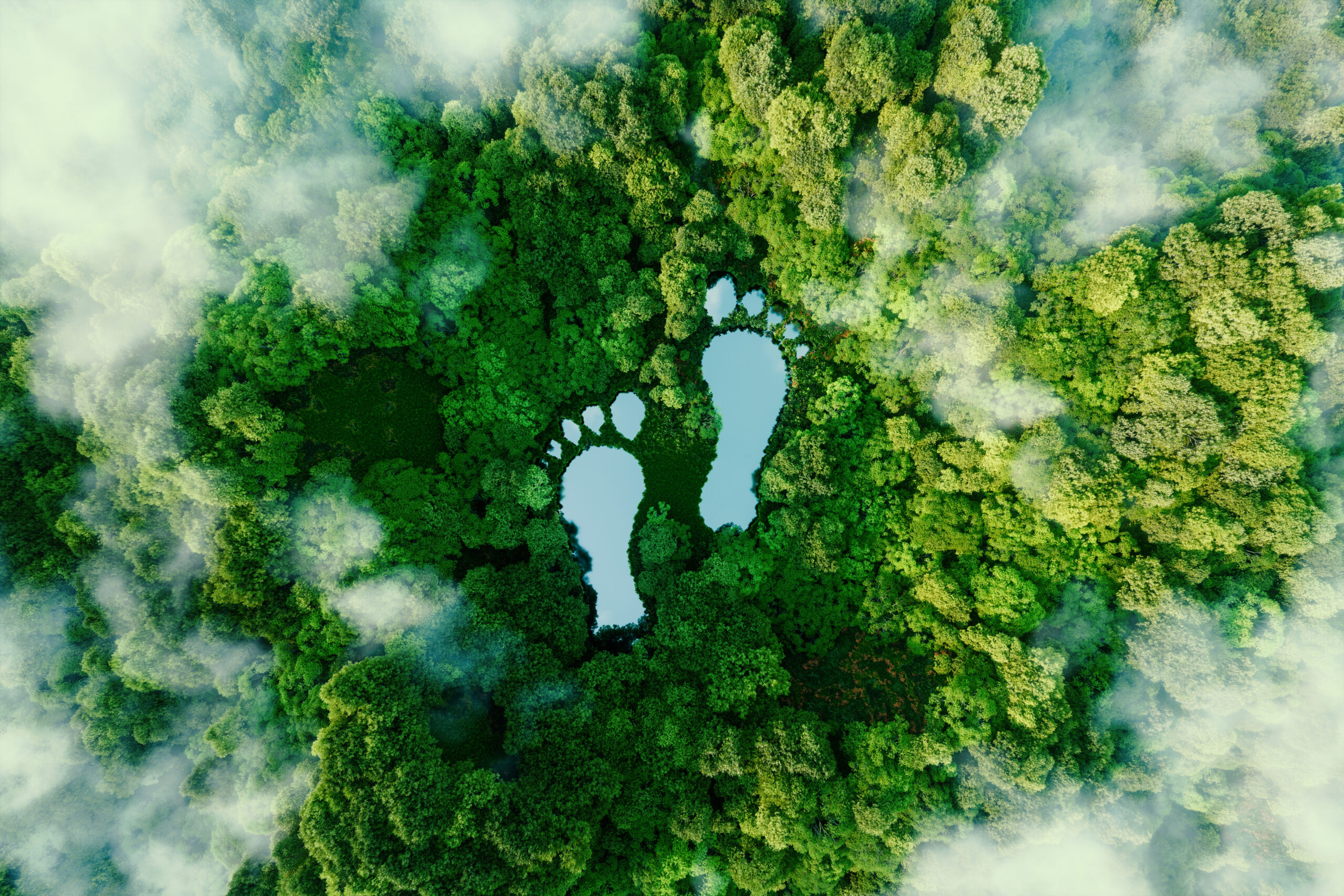 A lake in the shape of human footprints in the middle of a lush