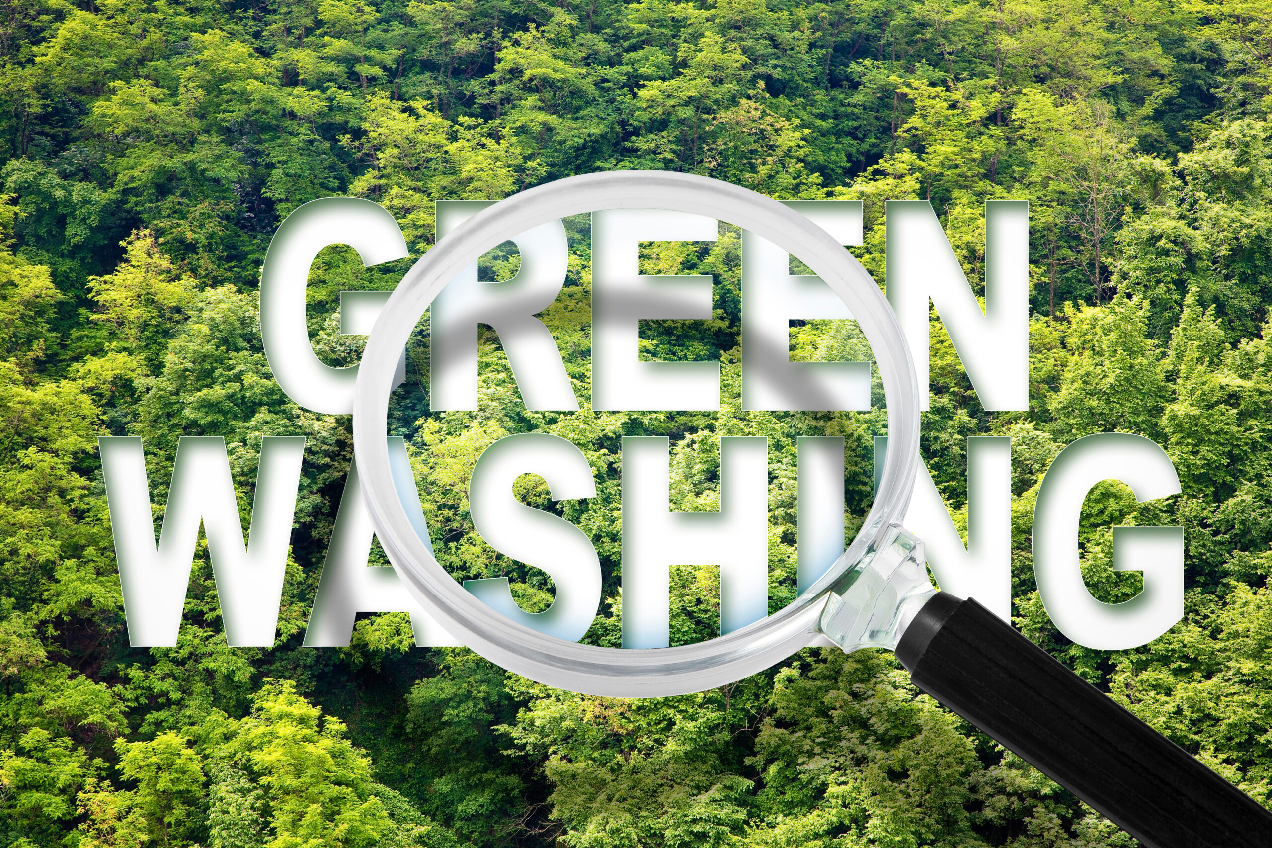Alert to Greenwashing – concept with text against a forest and trees and magnifying glass