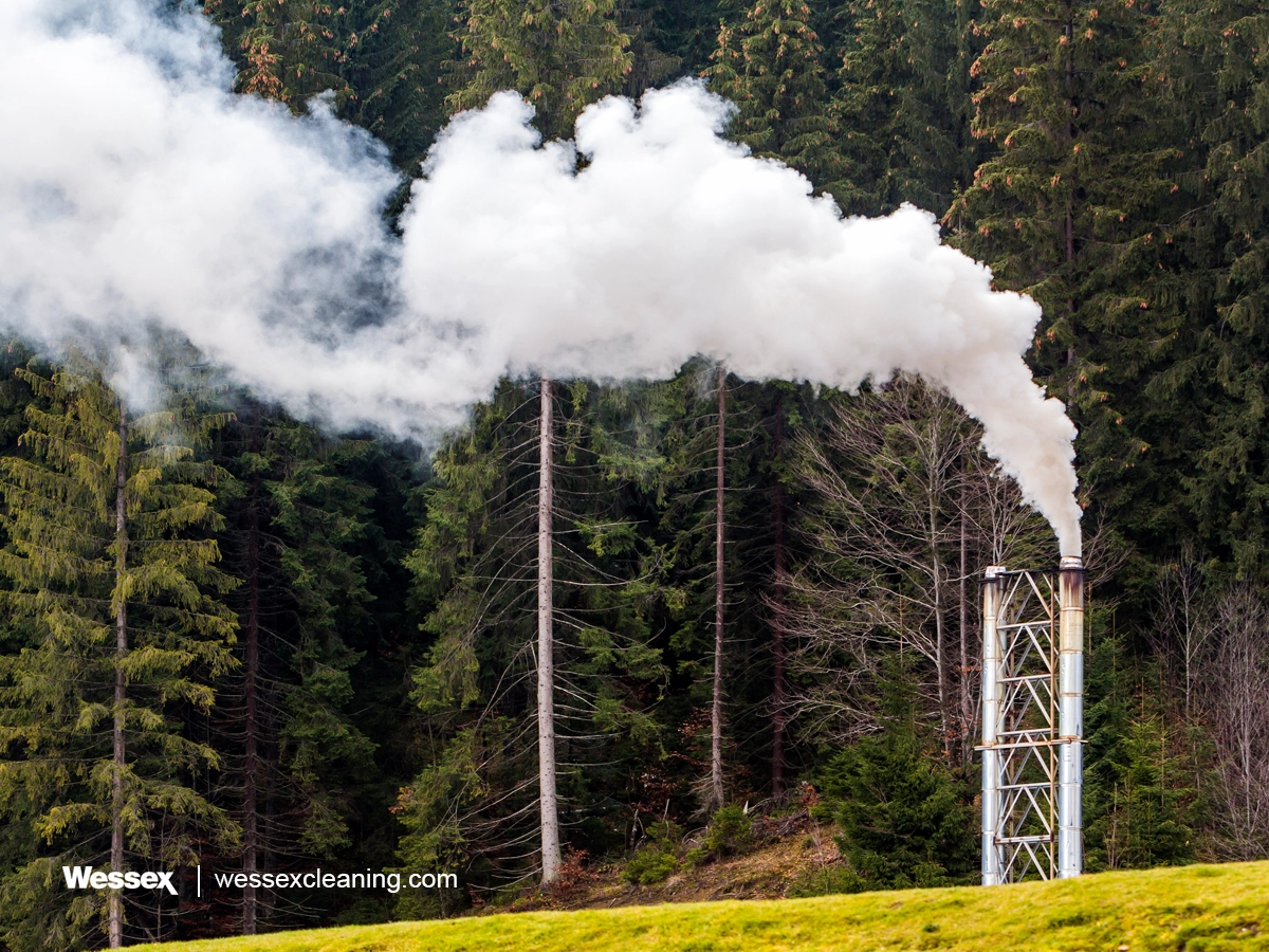 Factory pipe emitting thick white smoke in a pine forest, representing the impact of carbon emissions on the environment.