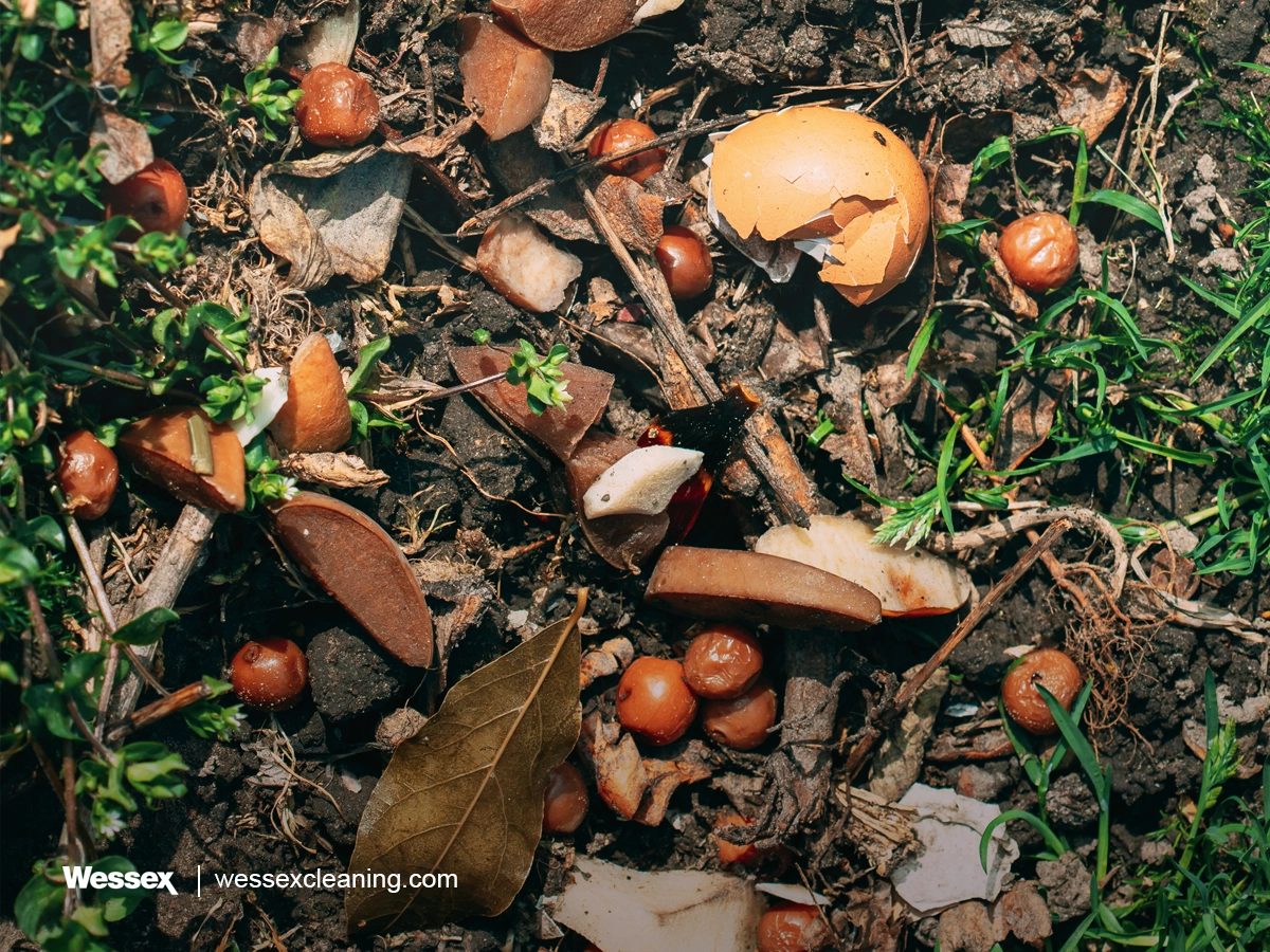Field of compostable materials, representing sustainable solutions for businesses