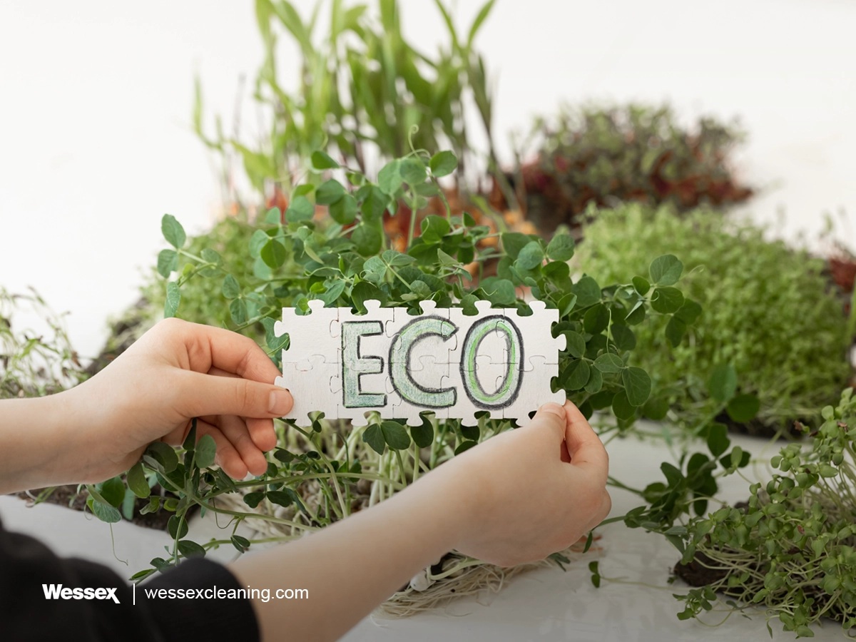 Hands holding puzzle piece with "Eco" inscription against microgreens background