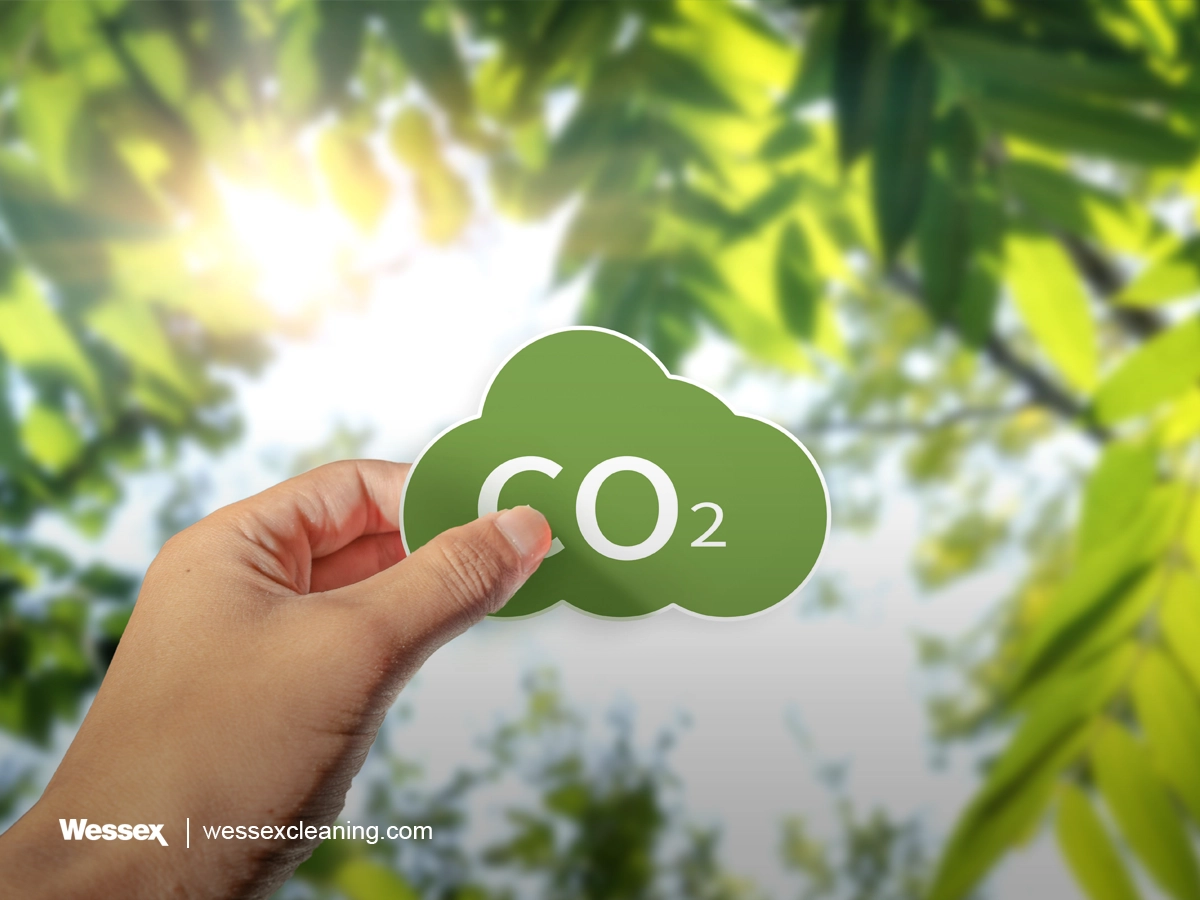 Green CO2 sign held in hand with blurred green leaves background