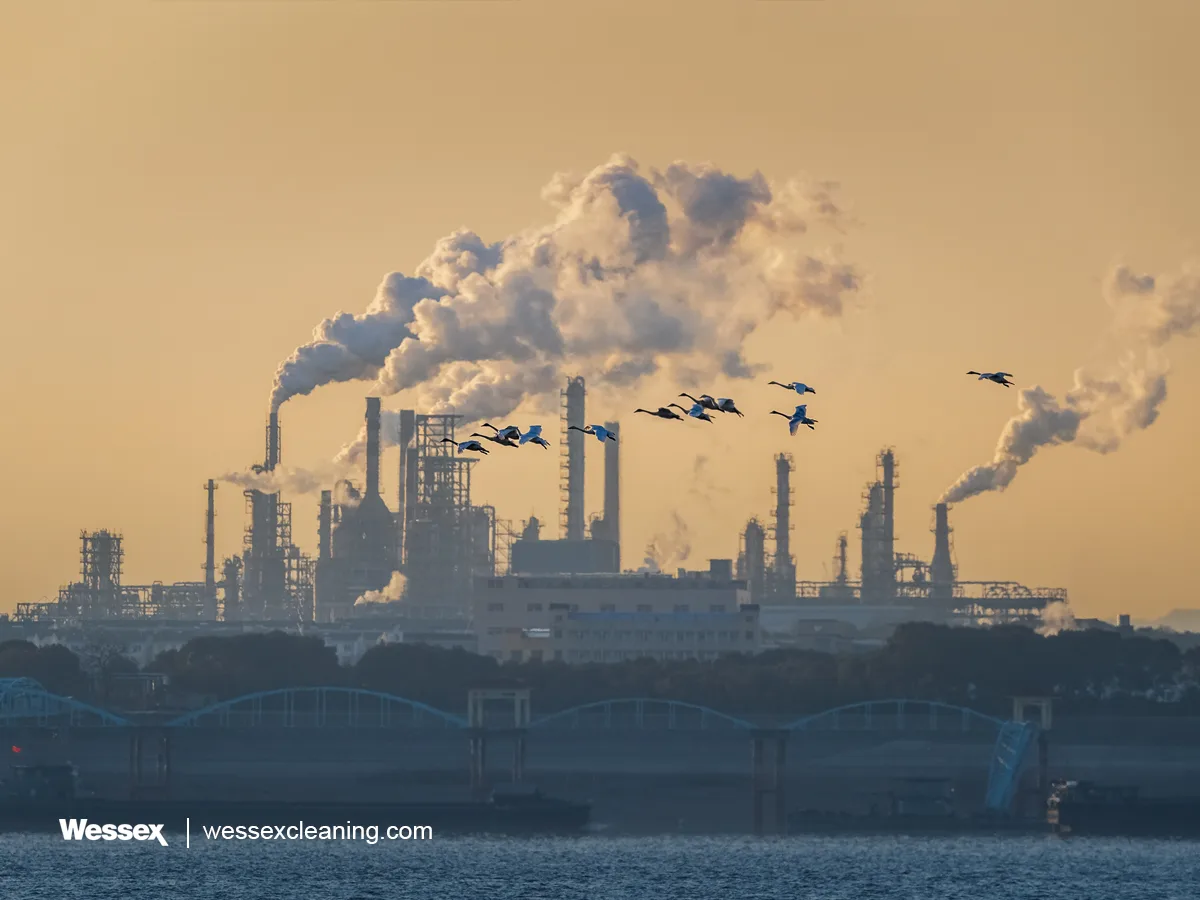 Swans Flying Over Polluting Oil Refinery, Absolute Emissions Concept